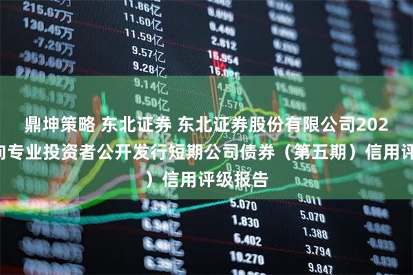 鼎坤策略 东北证券 东北证券股份有限公司2025年面向专业投资者公开发行短期公司债券（第五期）信用评级报告